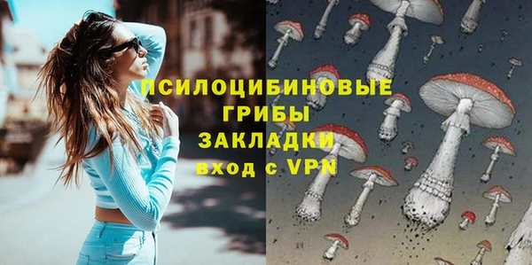 мяу мяу мука Арсеньев