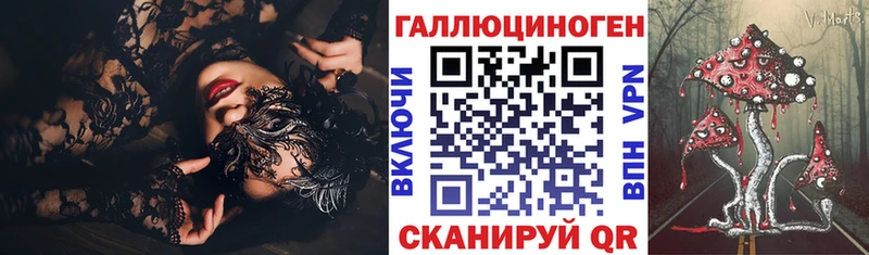 Псилоцибиновые грибы Psilocybine cubensis Сертолово