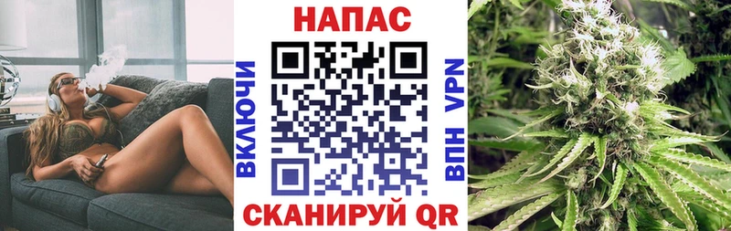 Каннабис OG Kush Сертолово