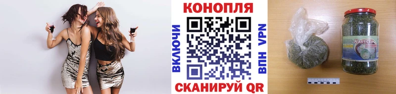 Конопля ГИДРОПОН  Сертолово 